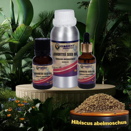 Ambrette Seed Oil (Abelmoschus moschatus)