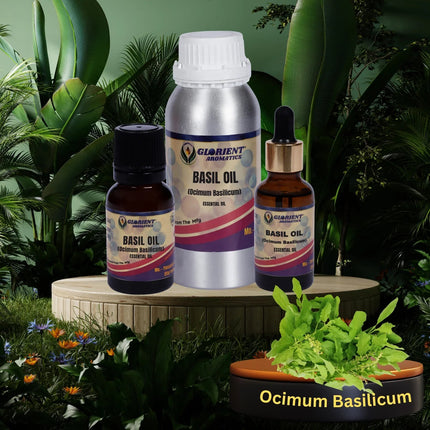 Basil Oil ( Ocimum basilicum )